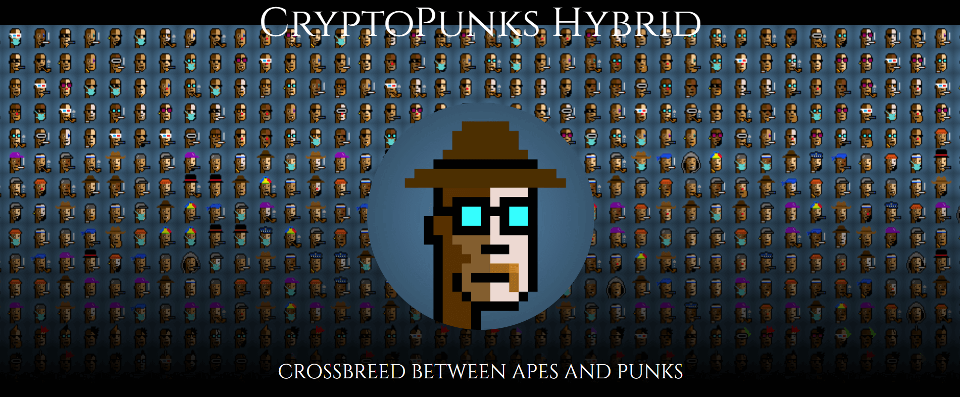 Interview with Cryptopunks Hybrid NFT
