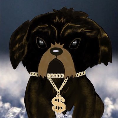 Interview with Millionaire Puppy Club NFT