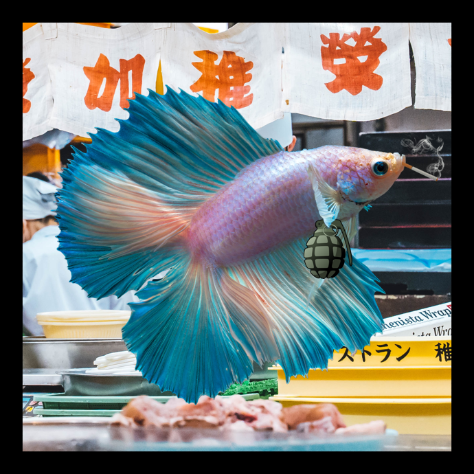 Rare Fish Market NFT Calendar Rare Fish Market NFT Calendar
