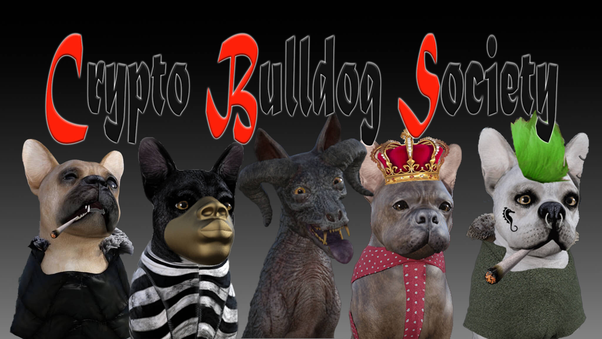 crypto bulldog