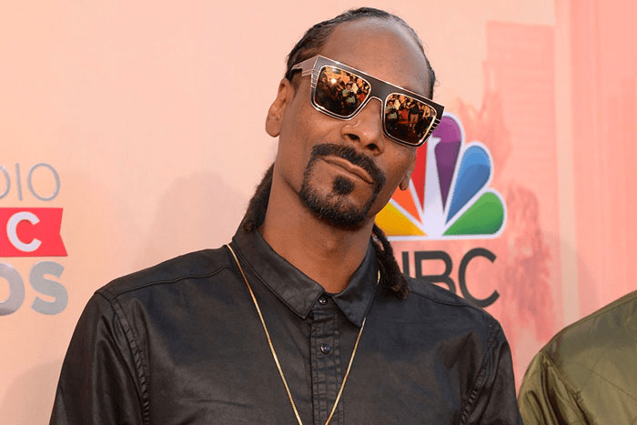 Snoop Dogg Launches 'Passport Series' NFT Tour Collectible